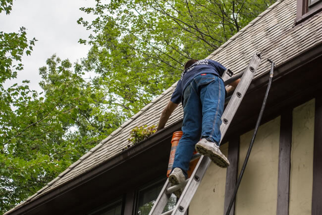 residential gutter cleaning Fairfax County